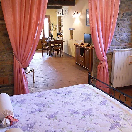 Stefy * Cortona